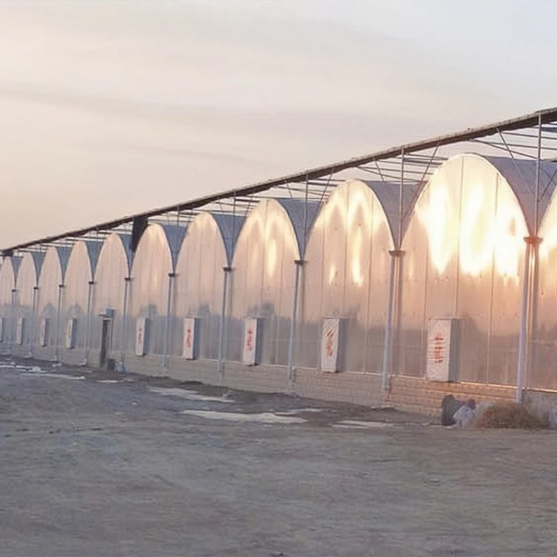 POLYCARBONATE HOUSE POLYCARBONATE HOUSE