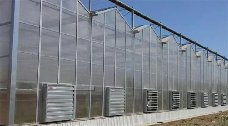Hydroponic Systems Greenhouse