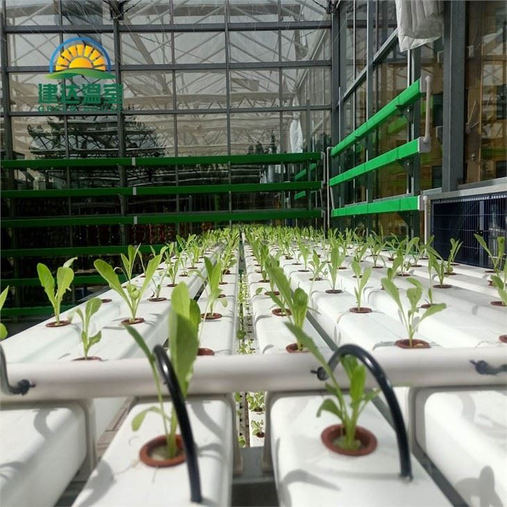 Nft System Nutrient Film Technique