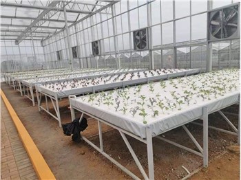 হাইড্রোপনিক গ্রোয়িং এগ্রিকালচারাল গ্রিনহাউস