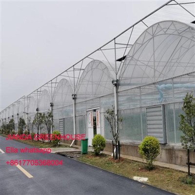 গ্রীনহাউসের শ্রেণীবিভাগ এবং নামকরণ