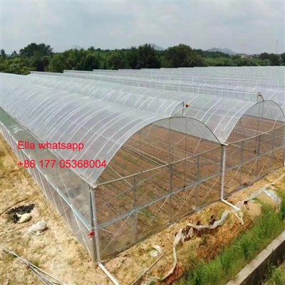 নরওয়েতে জিয়ান্ডার উদ্ভাবনী আর্চ গ্রিনহাউস